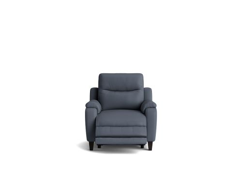 Dallas electric recliner with electric headrest