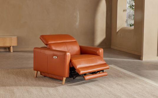 Antigua electric recliner with adjustable headrest 